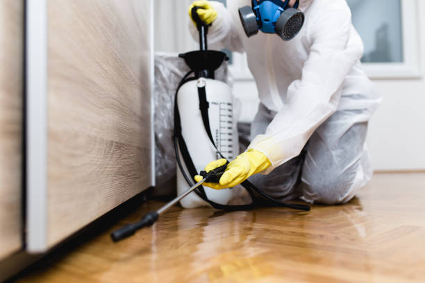Best Best Pest Control Companies  in Chisago City, MN