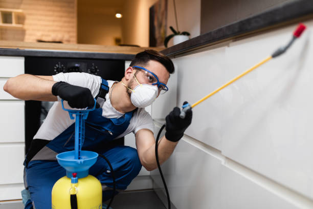 Best Exterminator Services  in Chisago City, MN