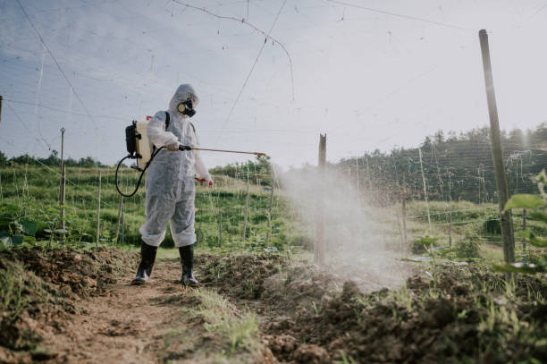 Best Best Pest Control Companies  in Chisago City, MN
