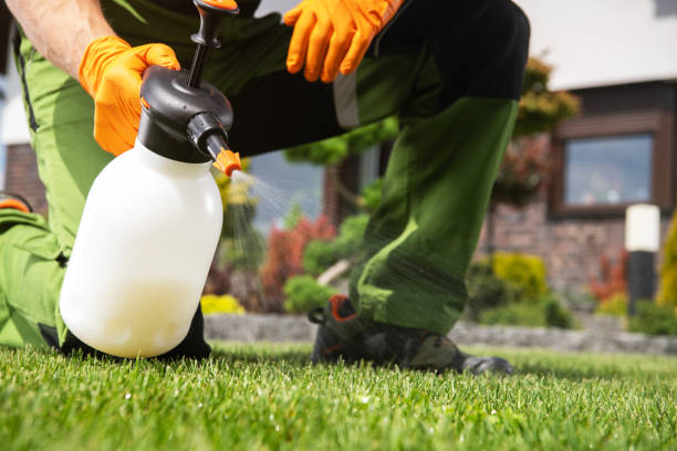Best Affordable Pest Control Services  in Chisago City, MN
