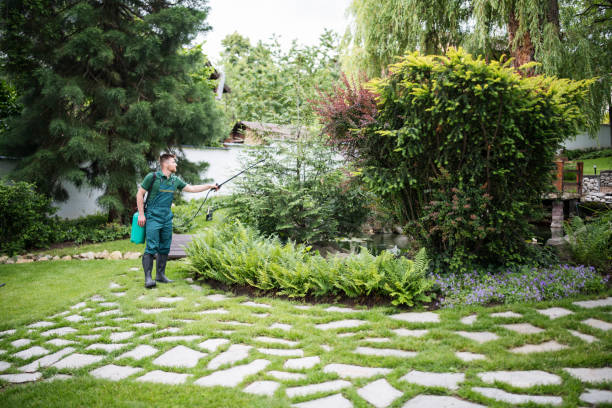 Best Affordable Pest Control Services  in Chisago City, MN
