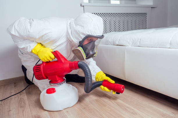 Best Rat Extermination Near Me  in Chisago City, MN