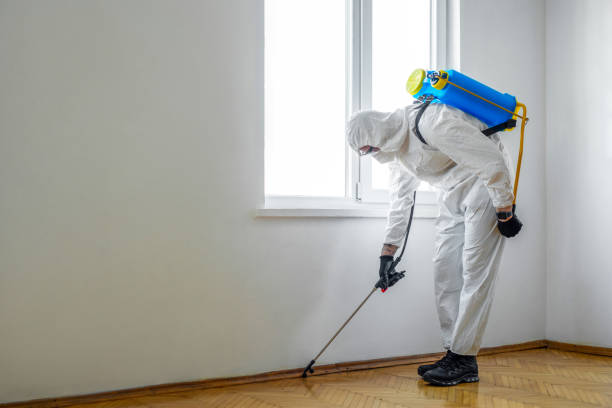 Best Local Pest Control Services  in Chisago City, MN