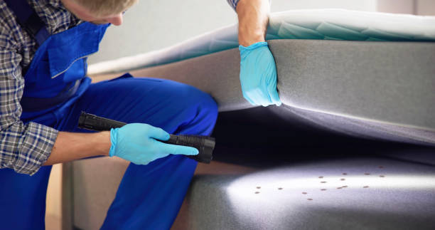 Best Mosquito Control Services  in Chisago City, MN