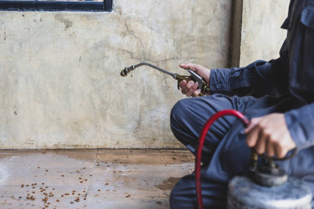 Best Pest Control for Homes  in Chisago City, MN