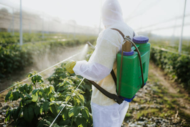 Best Pest Control for Businesses  in Chisago City, MN